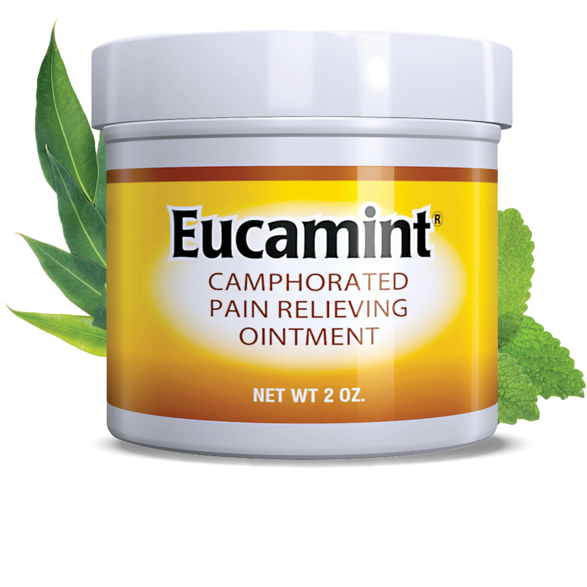 Botanic Choice Eucamint Pain Relieving Ointment Muscle & Joint Support - 2 oz