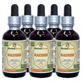 Herbal Terra Radish Tincture Liquid Extract - 5x2 fl.oz