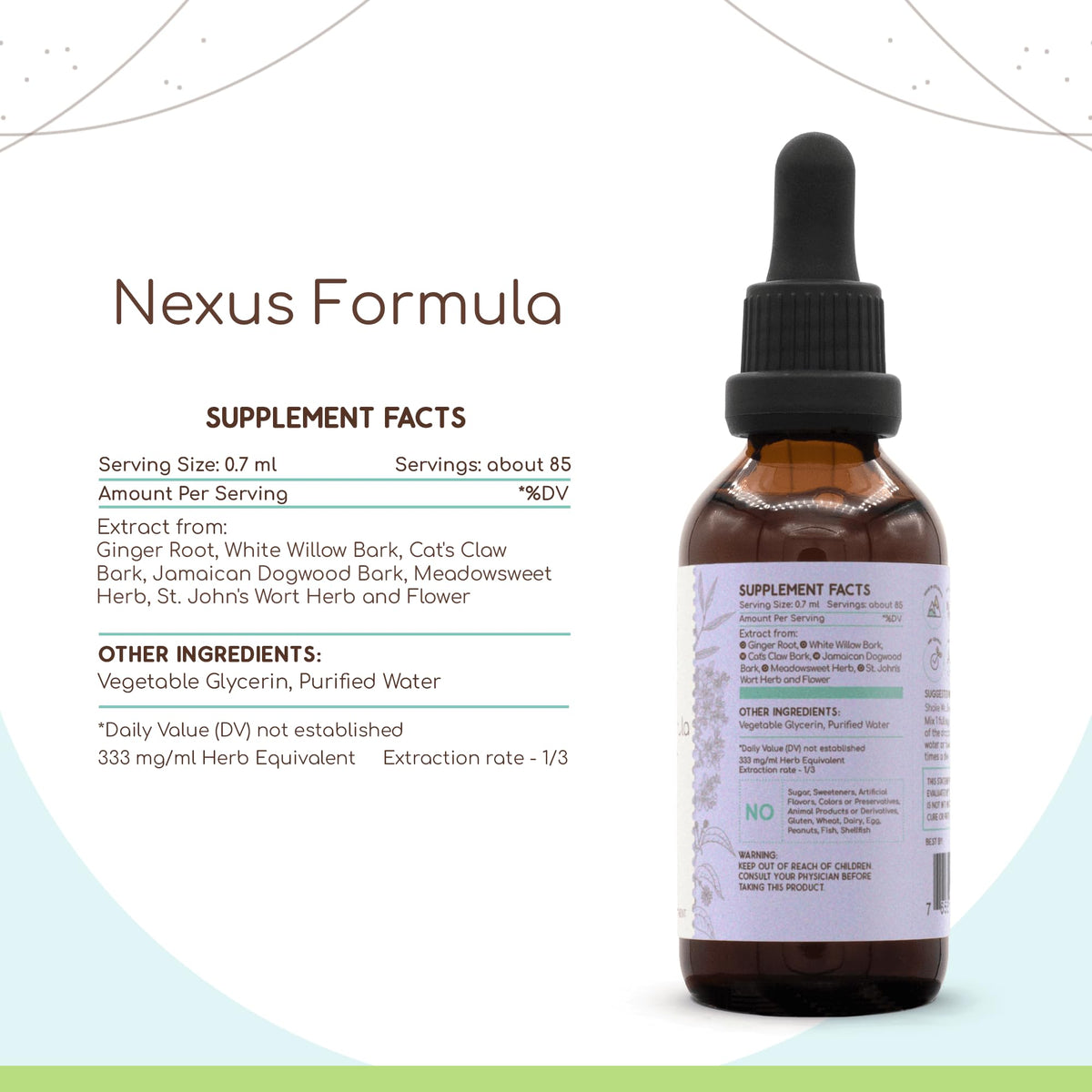 HerbEra Nexus Formula Alcohol-Free Extract Tincture: Ginger Root