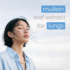 NutraChamps Mullein Leaf Extract Lung Support - 60 Capsules - image 6