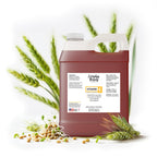 Everyday Beauty Helping You Feel Beautiful Inside And Out Vitamin E