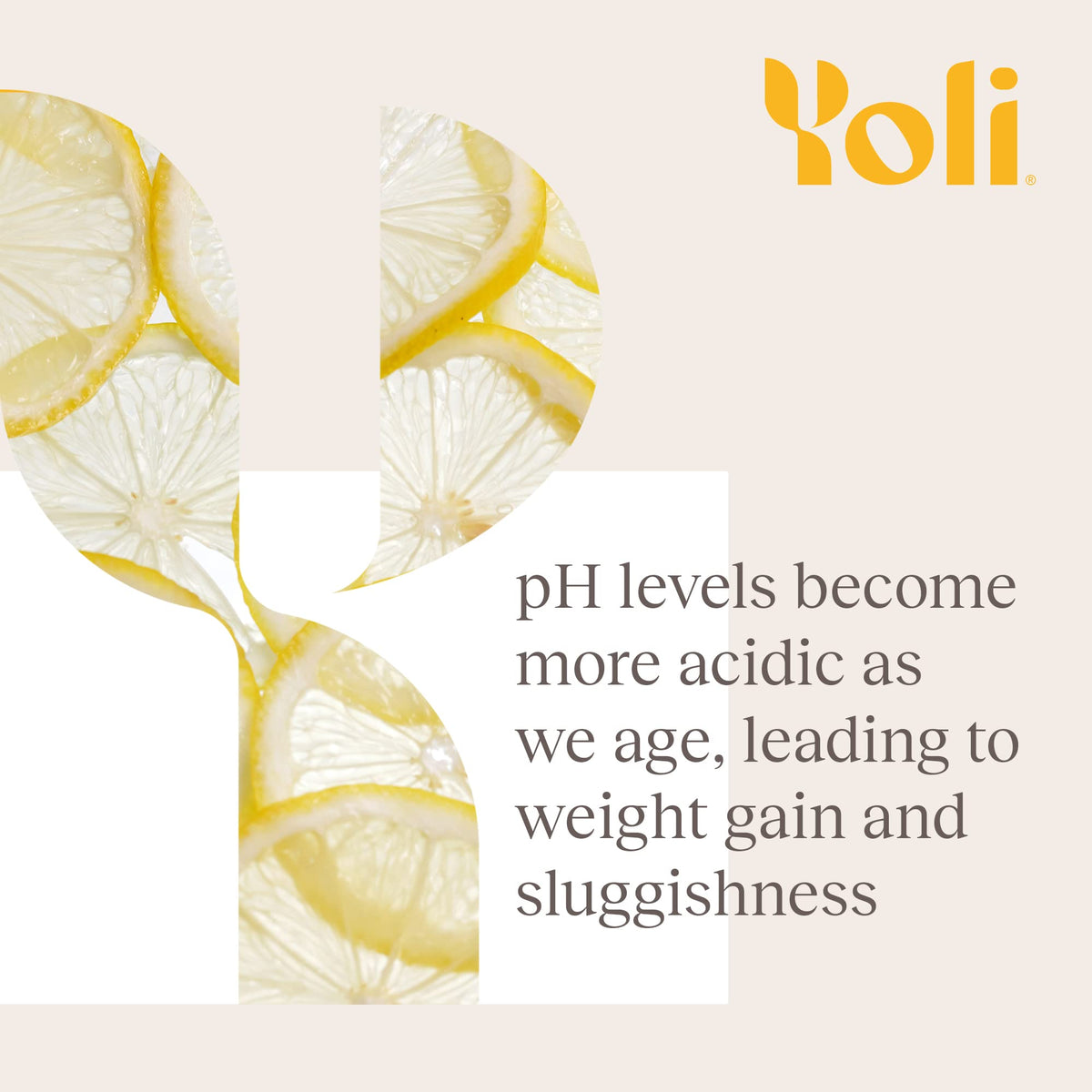 Yoli Alkalete Calcium and Magnesium Supplement - 60 Capsules - image 3