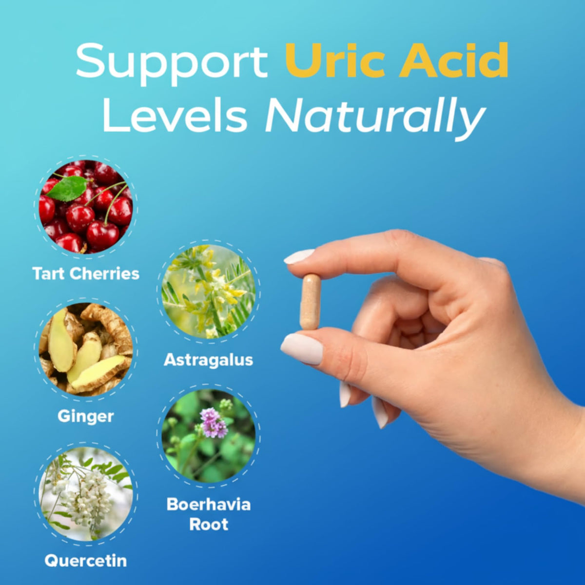 Redd Remedies - Gouch!, Encourages a Healthy Inflammatory Response