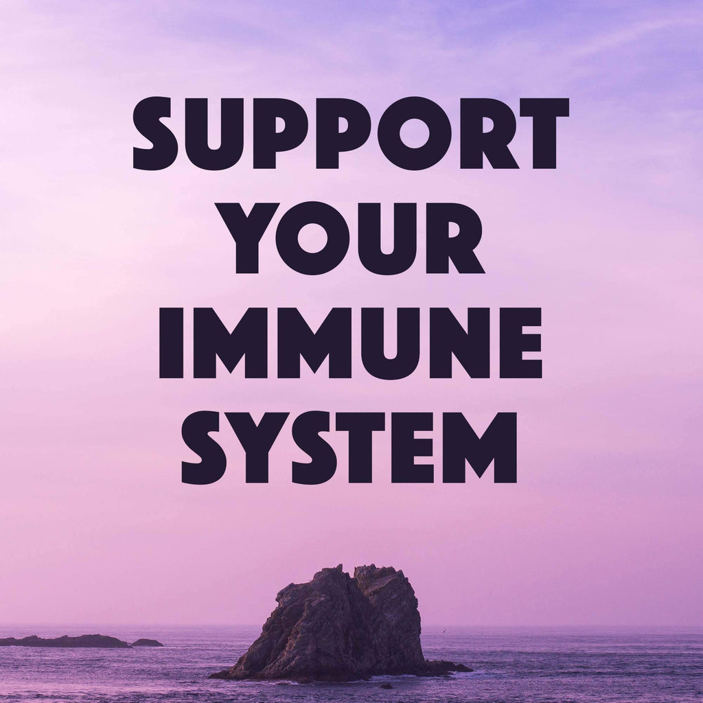 Natural Rhythm Ah Chews! Immune Booster Lozenges - 60 Chewables - image 6