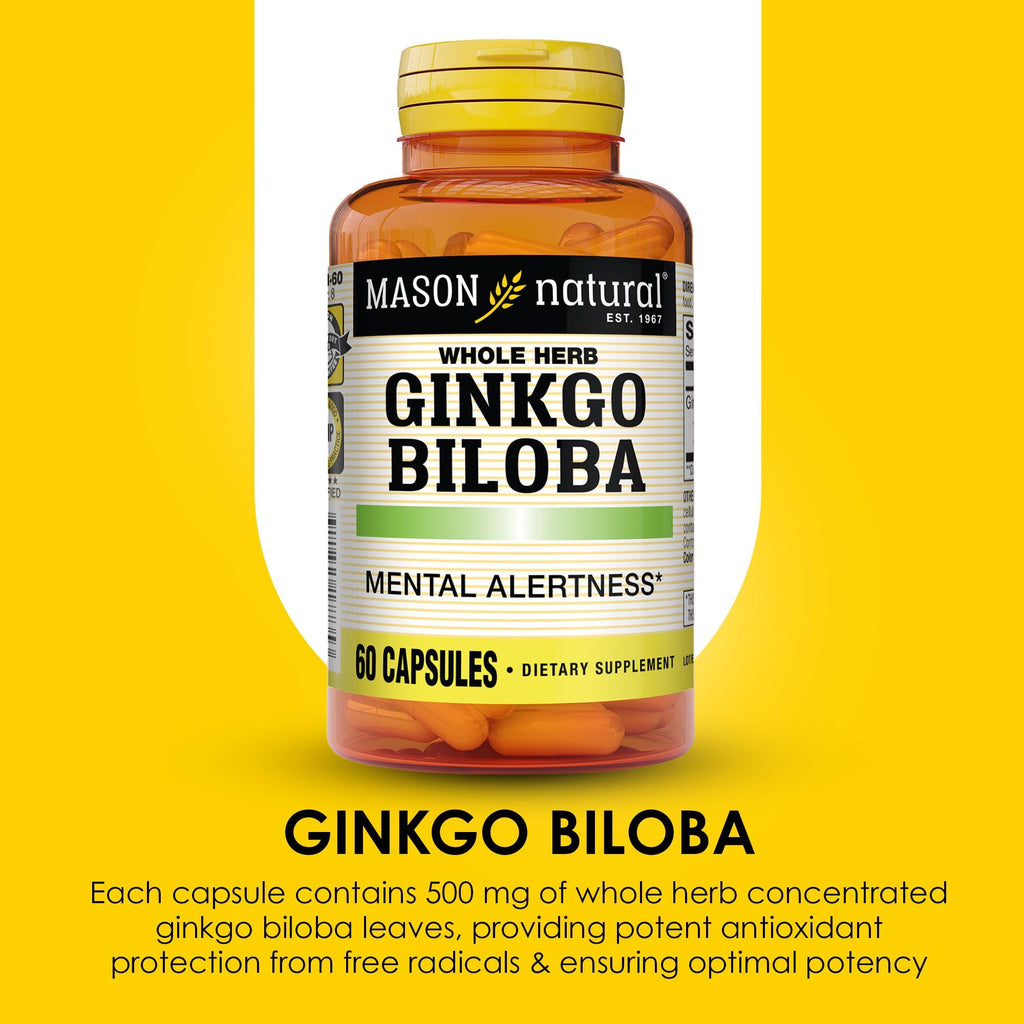 MASON NATURAL Ginkgo Biloba 500 mg Brain Support - 60 Capsules - image 4