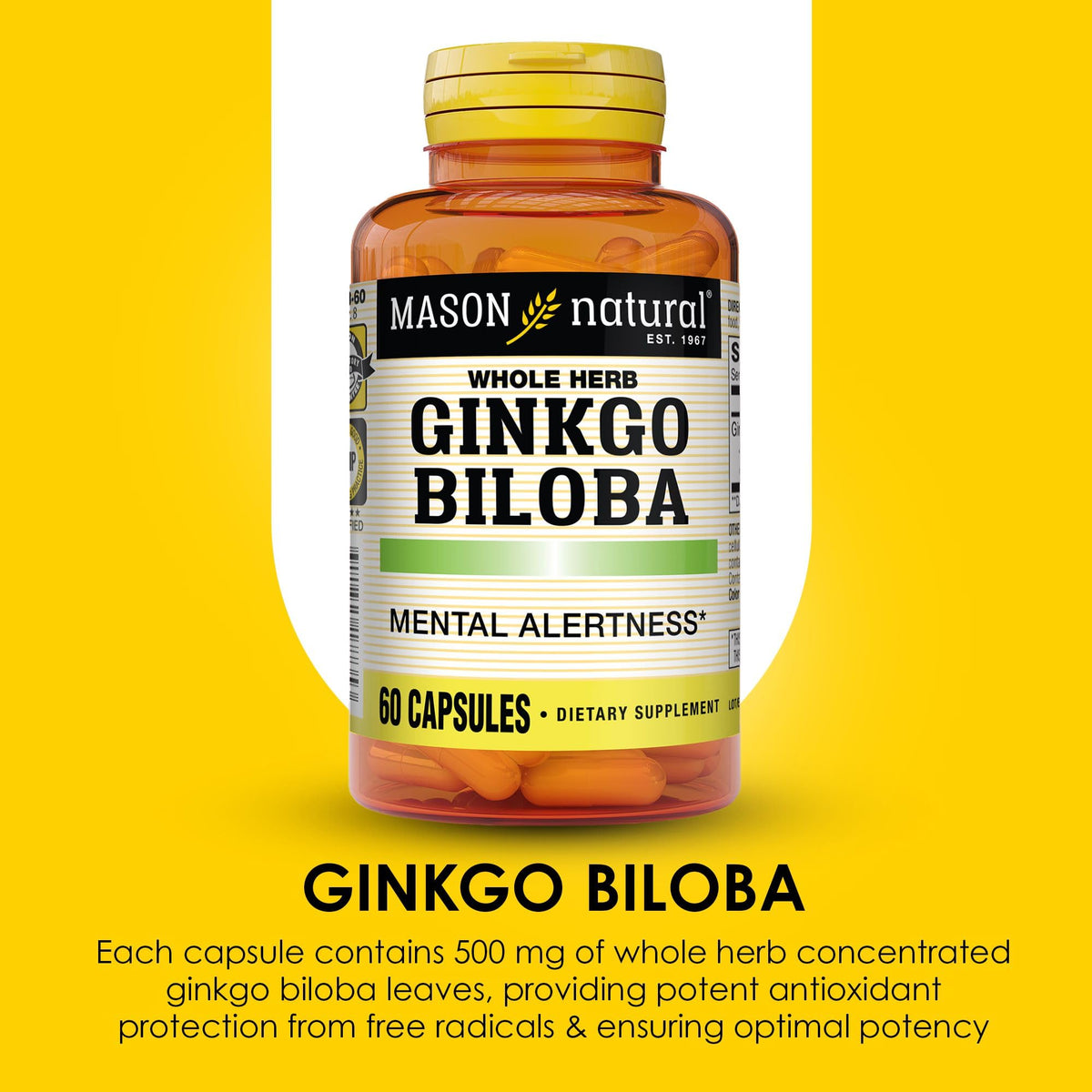 MASON NATURAL Ginkgo Biloba 500 mg Brain Support - 60 Capsules - image 4