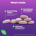 Natrol B12 5000 mcg Fast Dissolve Energy Metabolism - 200 Tablets - image 2