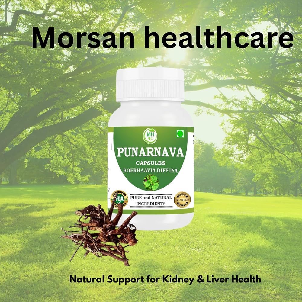 Morsan Healthcare Punarnava Capsules 500mg - 120 Vegetarian Capsules - image 5