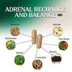 Nature's Nutrition Adrenal Support Supplement - Advanced Cortex