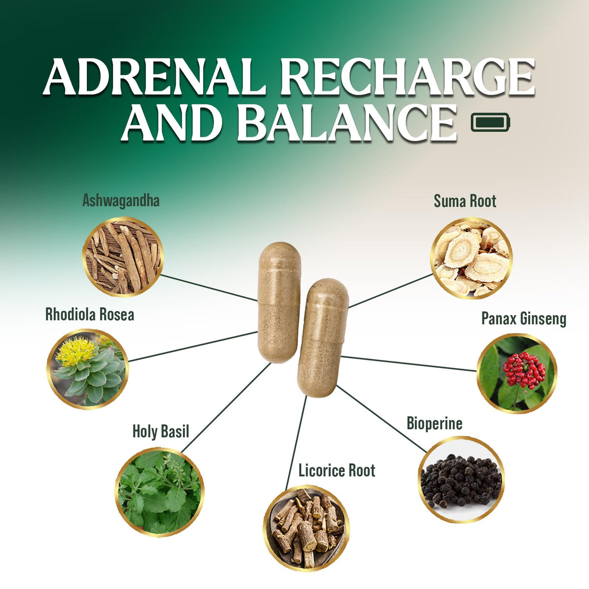Nature's Nutrition Adrenal Support Supplement - Advanced Cortex