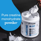 Evolution Advance Creatine Monohydrate Powder 5g - 60 Servings - image 6