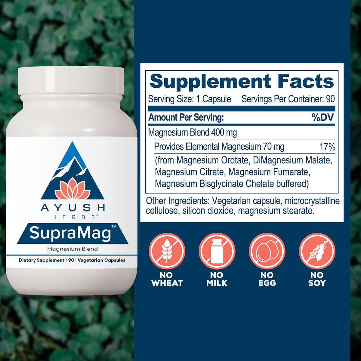 Ayush Herbs SupraMag Magnesium Blend Energy Support - 90 Capsules - image 3