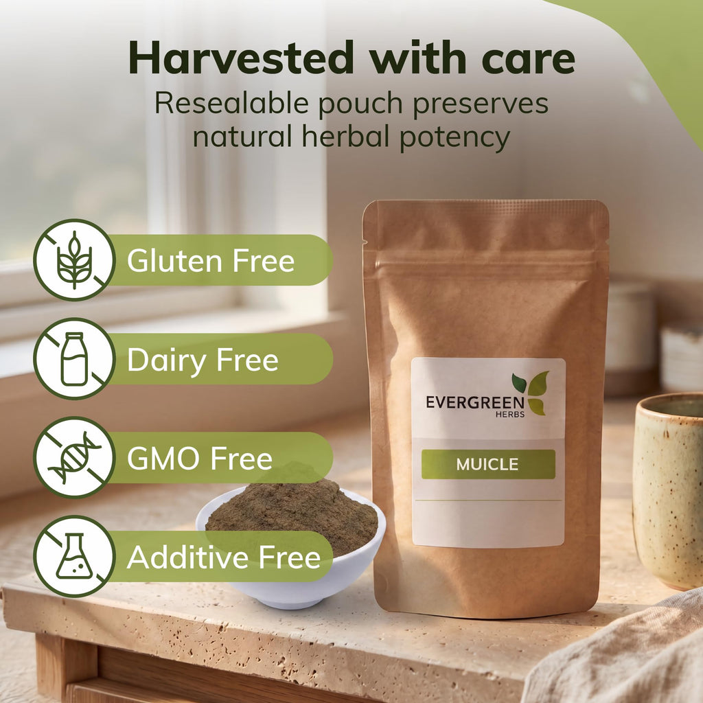 Evergreen Herbs Muicle Powder - 160 oz Resealable Pouch - image 3