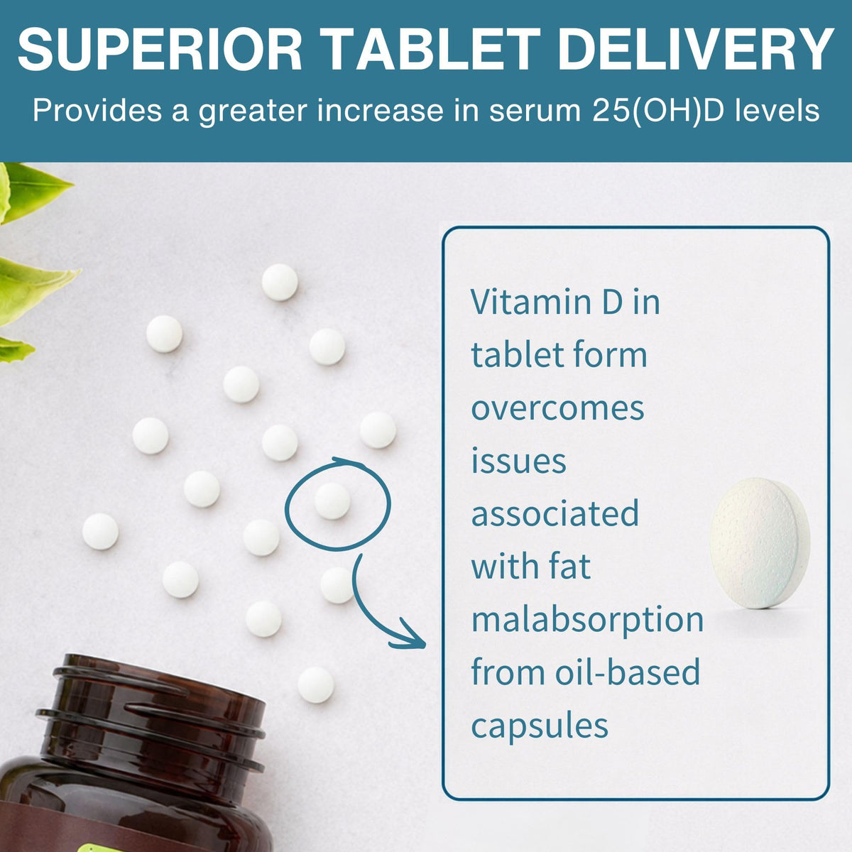 Igennus Daily Vitamin D3 2000 IU - 365 Tablets - image 4