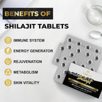 Santegra Shilajit Tablets 500 mg for Energy - 60 Tablets - image 5