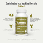Herbsforever Varuna Extract Capsules for Bladder & Kidney - 60 Capsules - image 8
