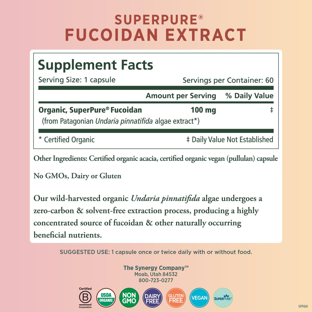 PURE SYNERGY SuperPure Fucoidan Extract - 60 Capsules - image 2