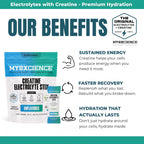 MYOXCIENCE Electrolyte STIX