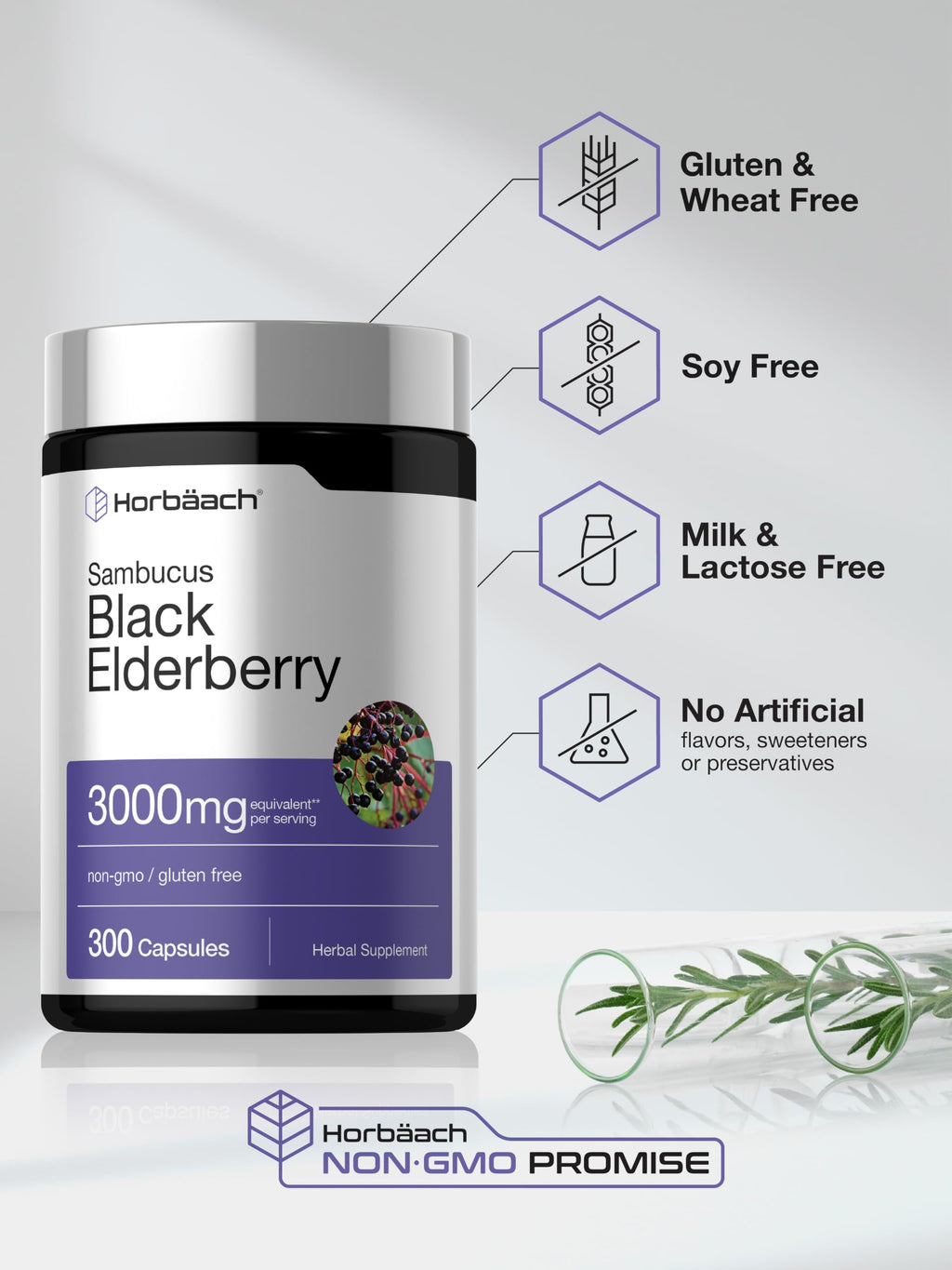 Horbäach Black Elderberry Supplement - 300 Capsules - image 5