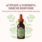 Herbs Etc. Loviral Liquid Extract Immune Response - 1 fl oz - image 3