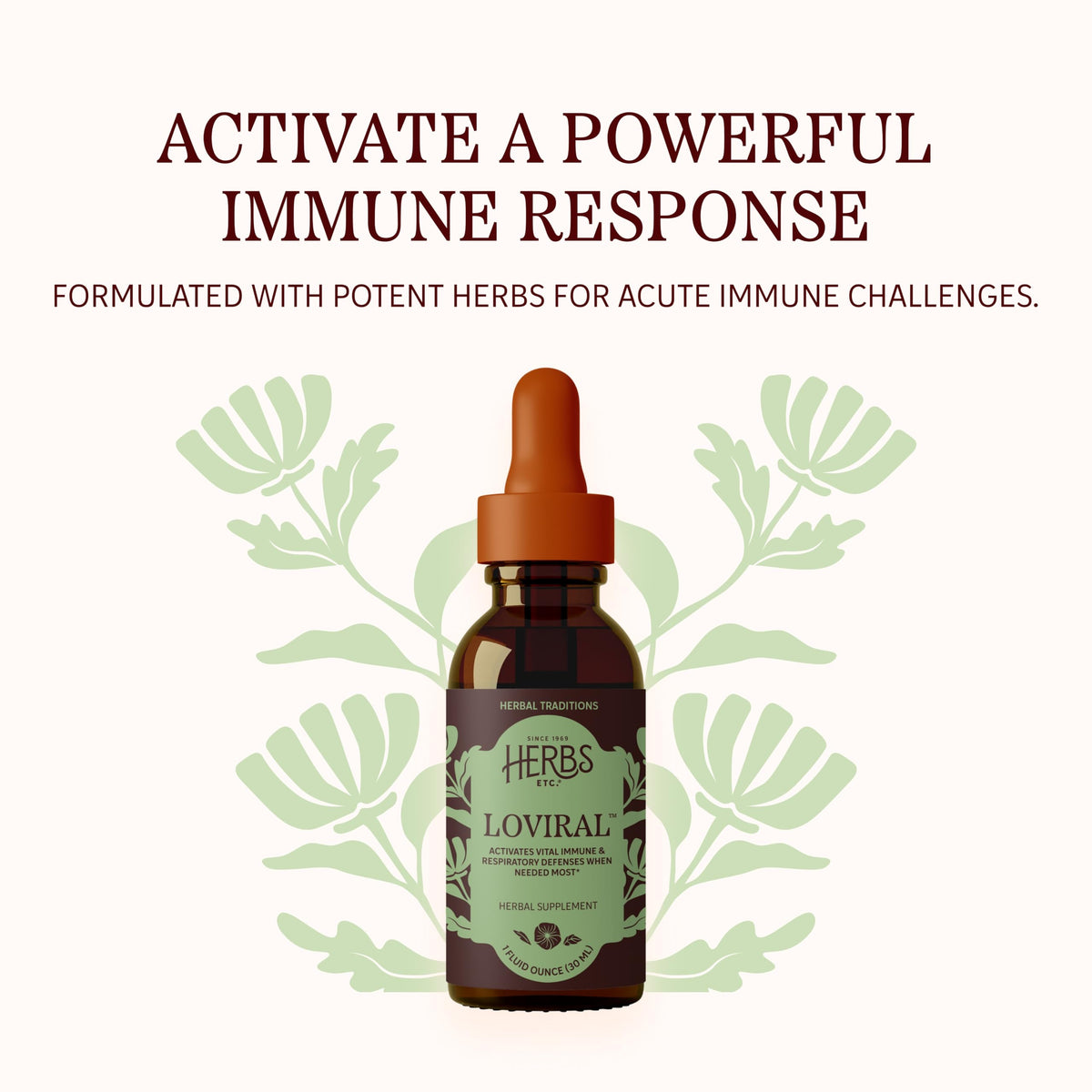 Herbs Etc. Loviral Liquid Extract Immune Response - 1 fl oz - image 3