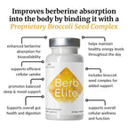 BrocElite BerbElite Berberine HCL with Broccoli Seed Complex - 60 Capsules - image 5