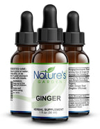 Nature's Garden Essentials Ginger Liquid Single Herb - 1 oz - image 3