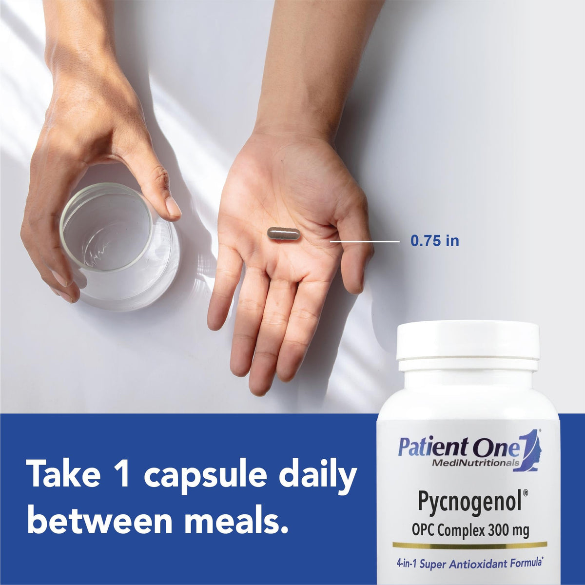 Patient One Pycnogenol & OPC Complex 300 mg - 30 Capsules - image 3