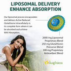 Guigmiens Liposomal Glutathione 2000 MG