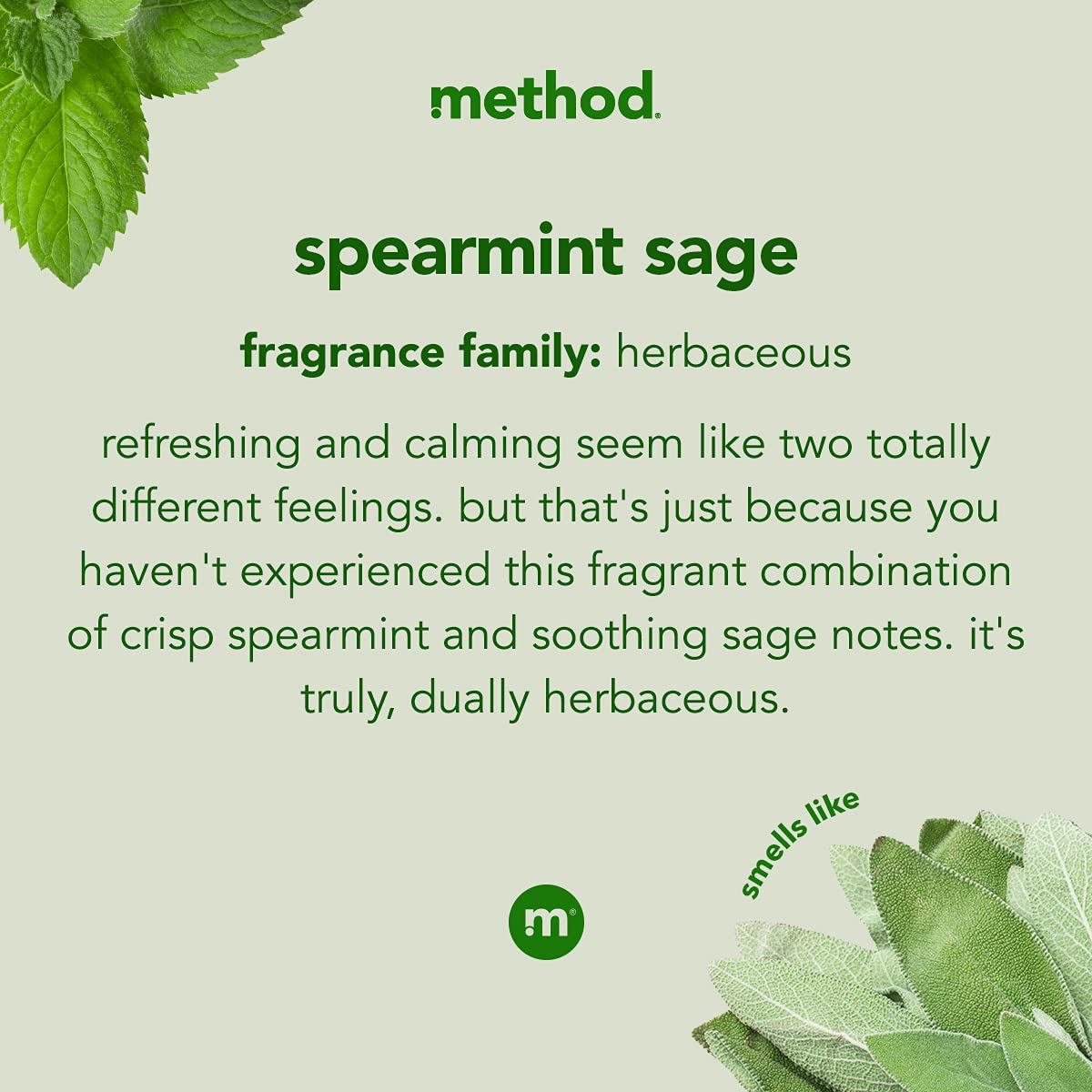 Method Hardwood Floor Cleaner Squirt + Mop Spearmint Sage - 6 Pack - image 3