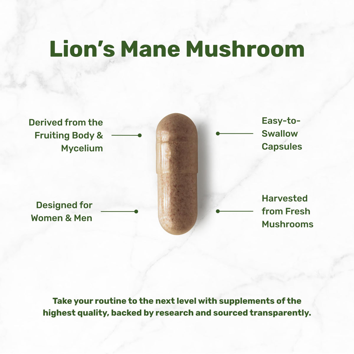 DEAL SUPPLEMENT Lions Mane Mushroom 750mg - 240 Capsules - image 3