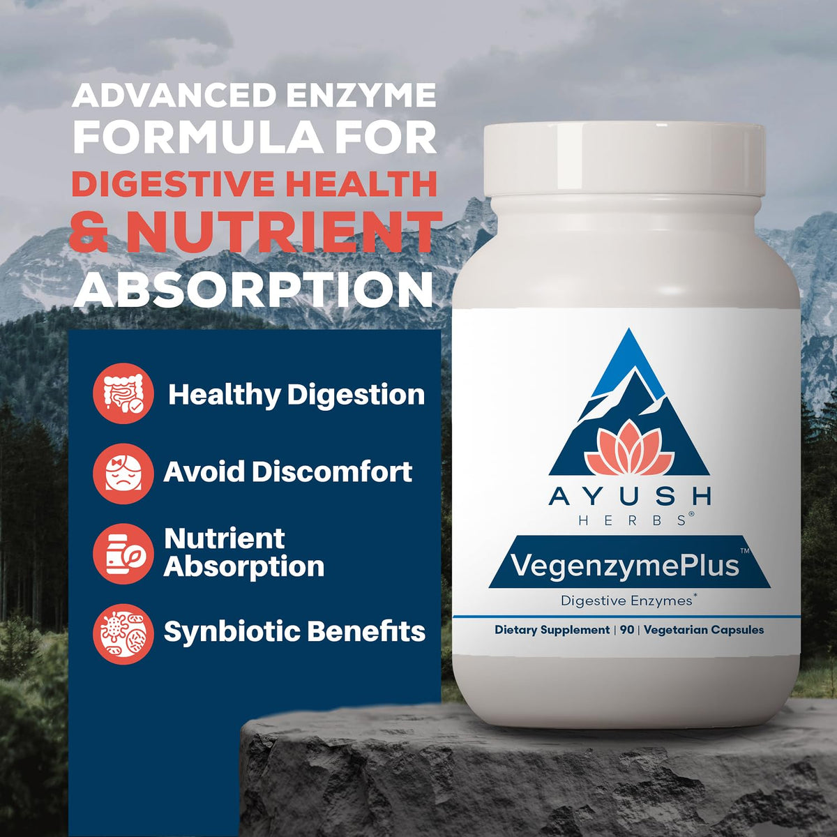 Ayush Herbs VegenzymePlus Digestive Enzymes - 90 Capsules - image 2