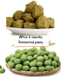 Shunbianmei Fermented Green Plum Apricot Digestive Support - 15 Packs - image 5
