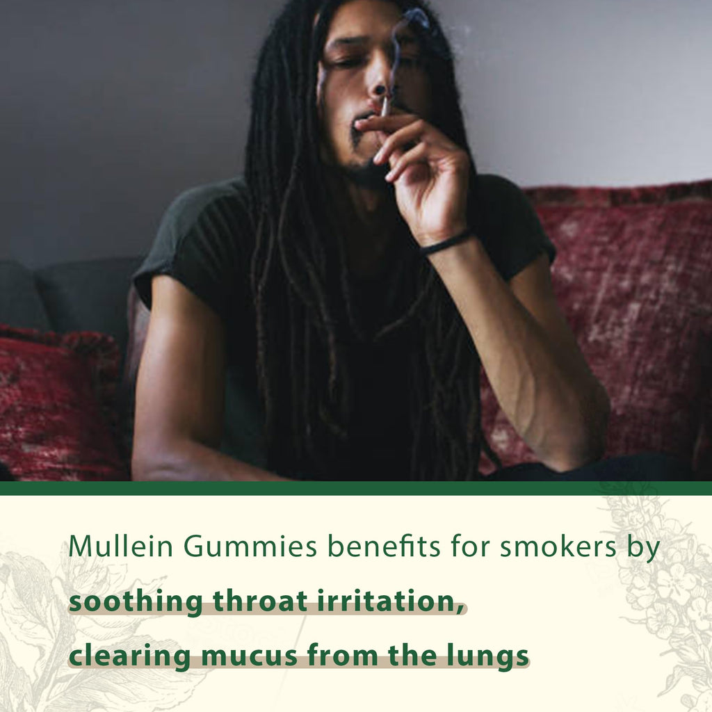 NEVISS Mullein Leaf Extract 1000mg for Lung Cleanse