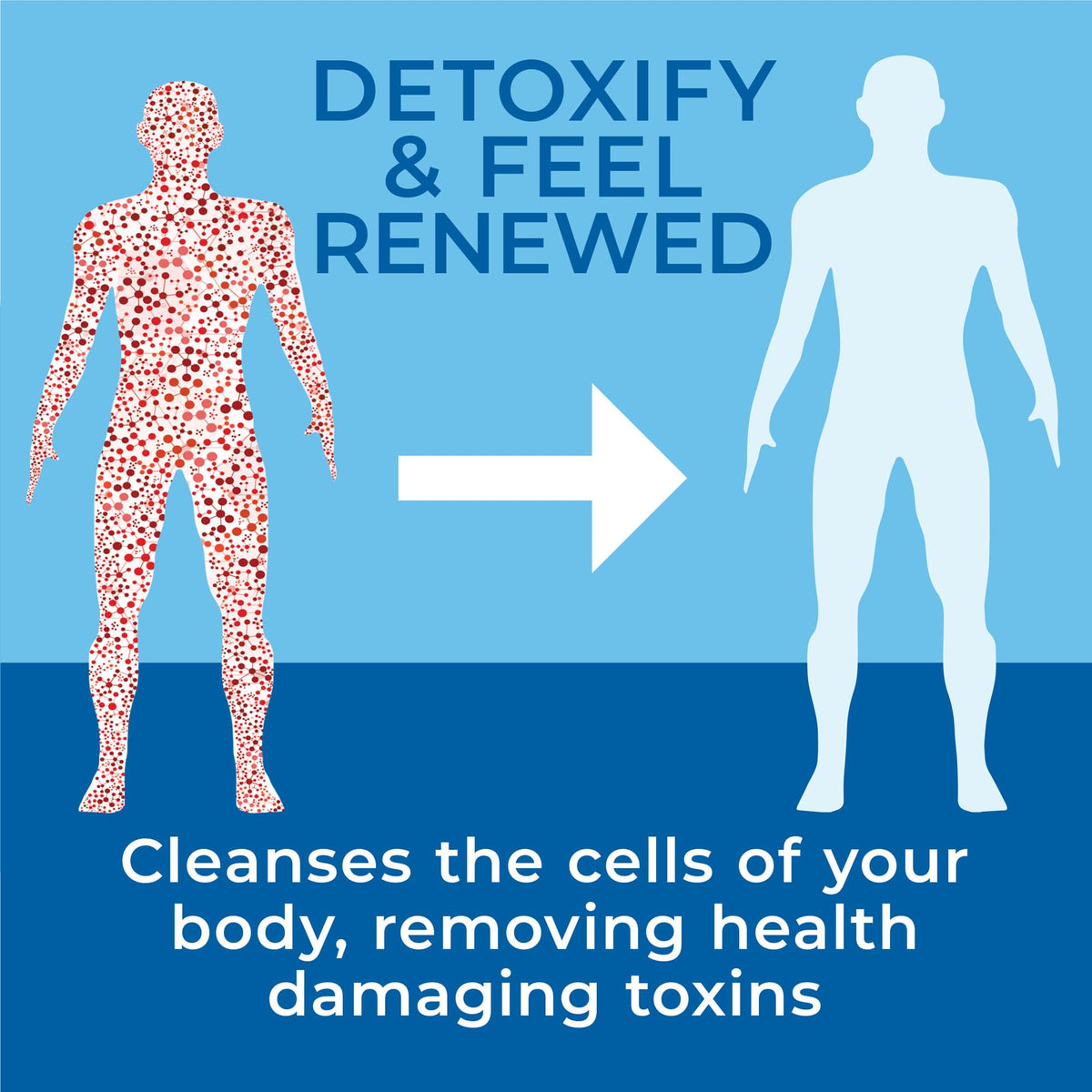 Total Body Detox Extra Strength by Results RNA