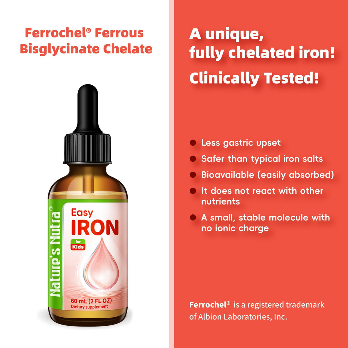 Nature's Nutra Easy Iron Liquid Drops for Kids - 2 fl oz - image 3