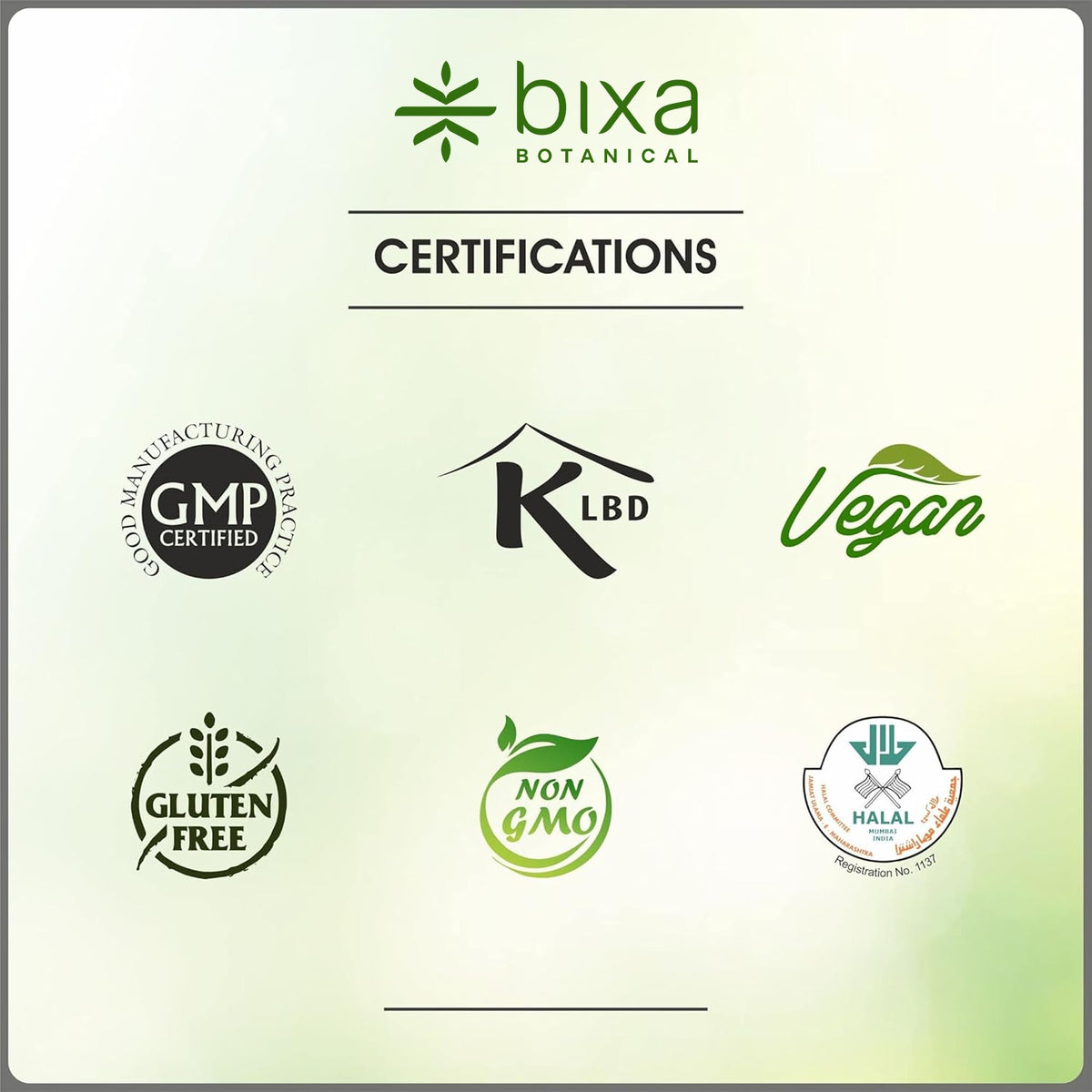 bixa BOTANICAL Bacopa (Brahmi/Bacopa Monnieri/Brahmi Leaves) ǀ