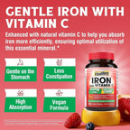 Vitalibre Iron Supplement, 65mg Carbonyl Iron with 250mg Vitamin C