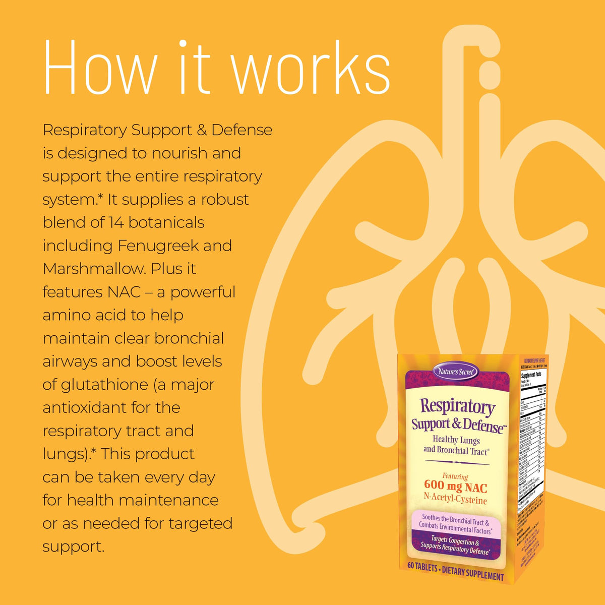 Nature's Secret Respiratory Support & Defense NAC - 60 Tablets - image 3
