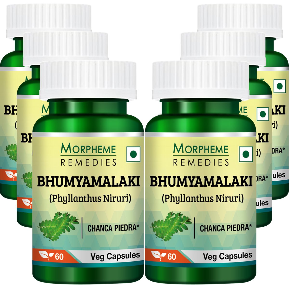 Morpheme Phyllanthus Niruri 500mg Extract - 360 Vegetarian Capsules
