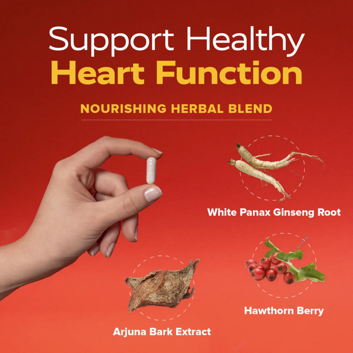 Redd Remedies Heart Strong Cardiovascular Support - 60 Tablets - image 5