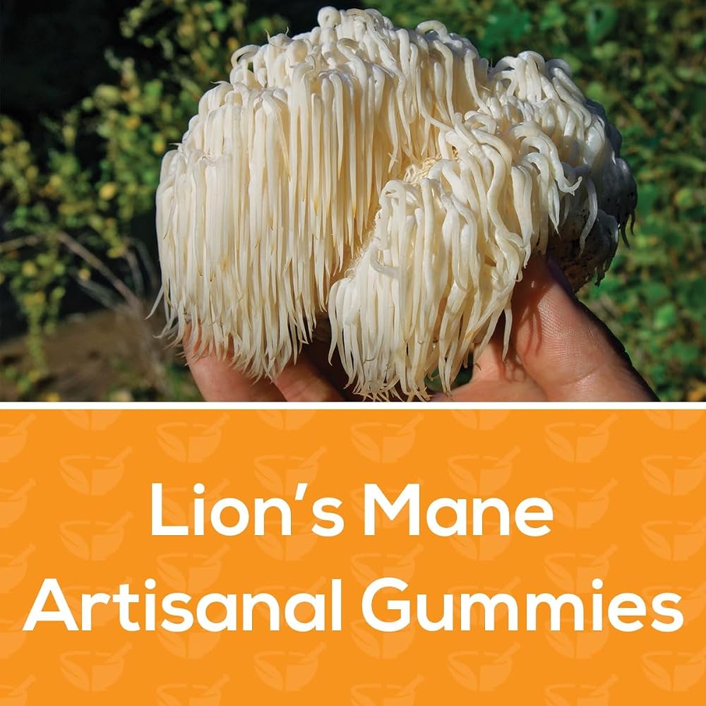 Safer Products Lion’s Mane Mushroom Gummies - May Support Focus