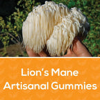 Safer Products Lion’s Mane Mushroom Gummies - May Support Focus