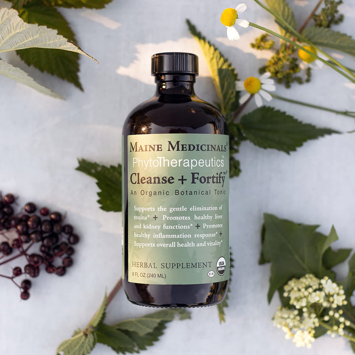 Maine Medicinals Cleanse + Fortify Organic Liver Detox and Kidney - image 2