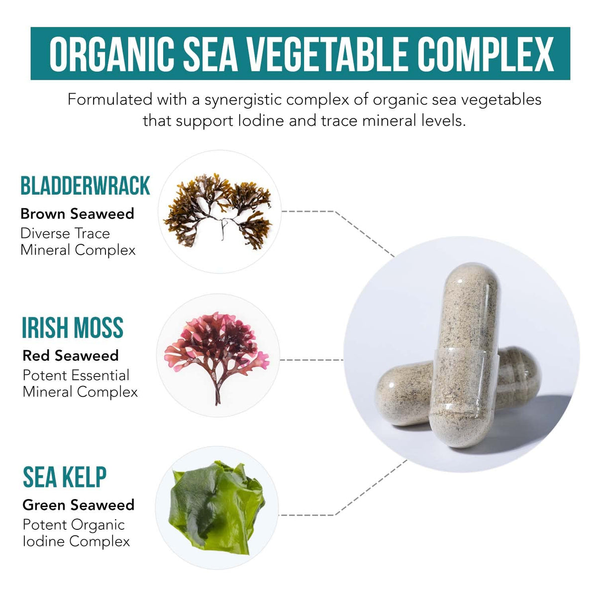 Triquetra Health Organic Iodine Supplement from Sea Vegetable Complex