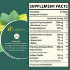 Guigmiens Liposomal Glutathione 2000 MG