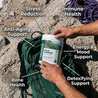 TruWild Greens Superfood Juice Powder - image 6