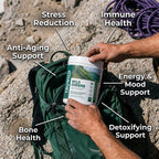 TruWild Greens Superfood Juice Powder