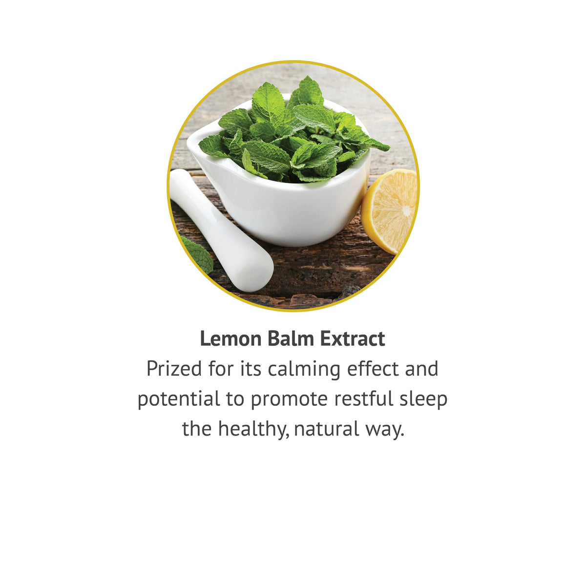 Botanic Choice Lemon Balm Liquid Extract Alcohol Free - 1 fl oz - image 4