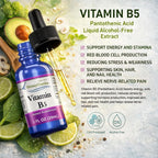 HoneyCombs Vitamin B5 Liquid Drops Pantothenic Acid - 1 Fl Oz - image 5